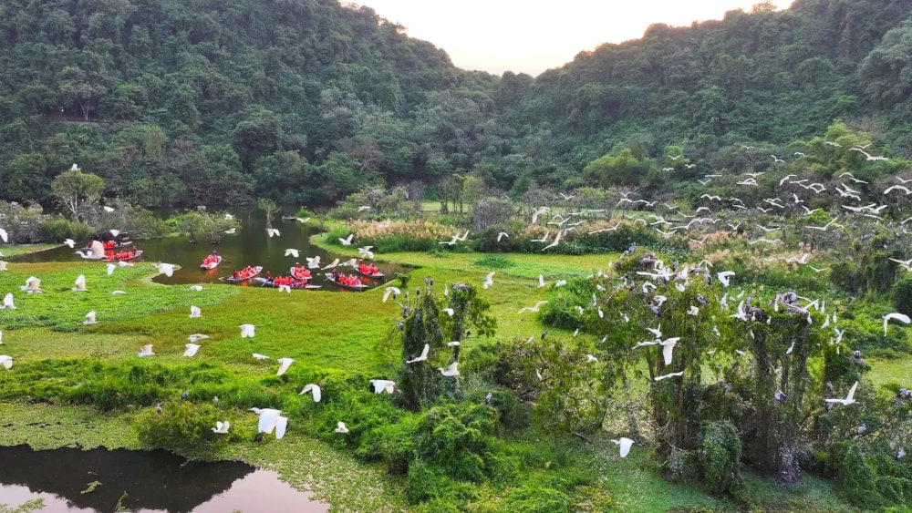 The bird sanctuary is particularly popular during migratory seasons, when flocks of birds travel through the park, adding to the park’s natural charm